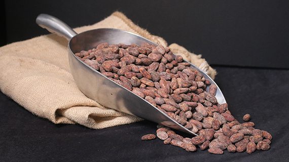 Chocolate Bean